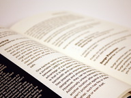10img-demo/2.jpg